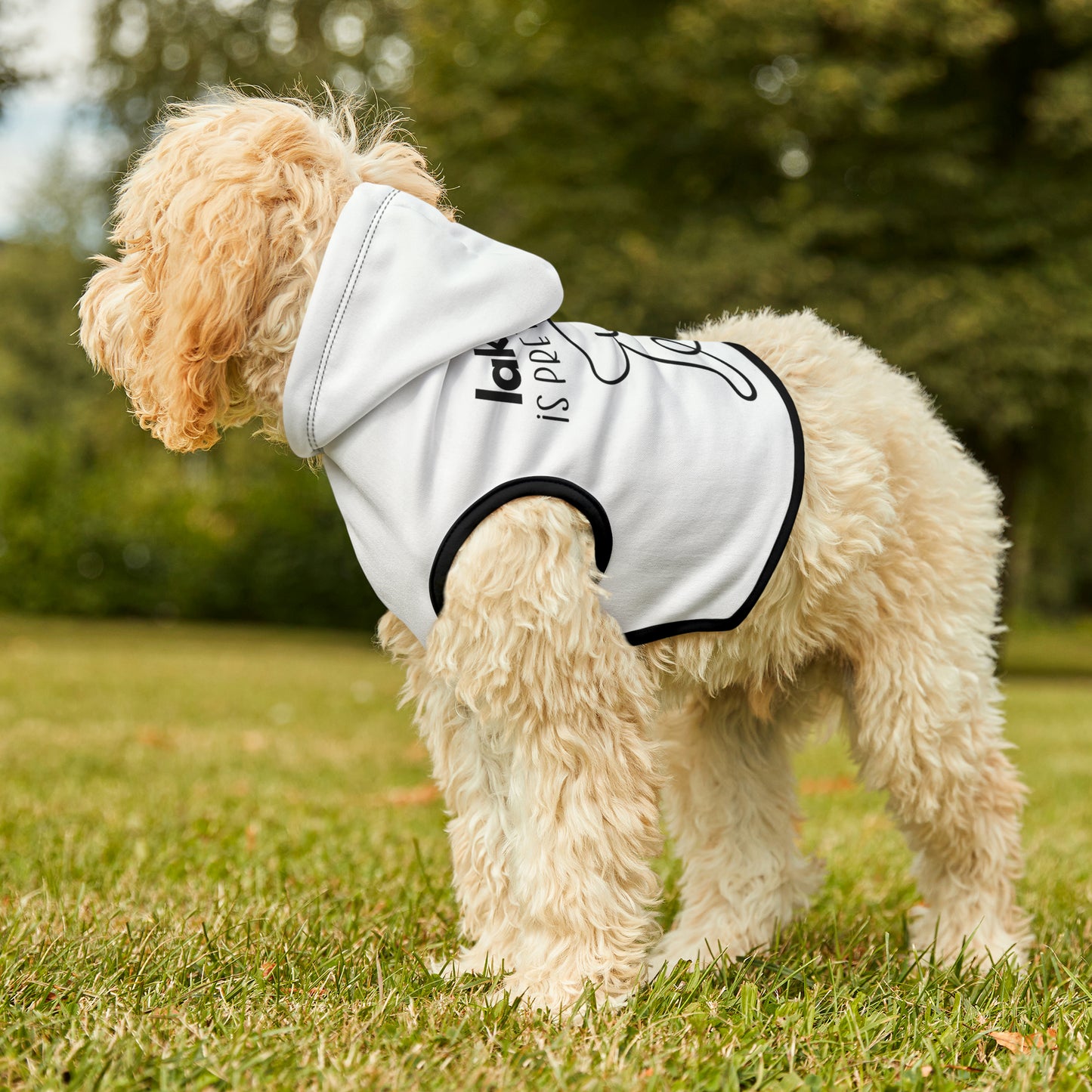 Lake Life is Ruff Pet Hoodie, the most adorable sweatshirt for a cat or dog, multiple size options