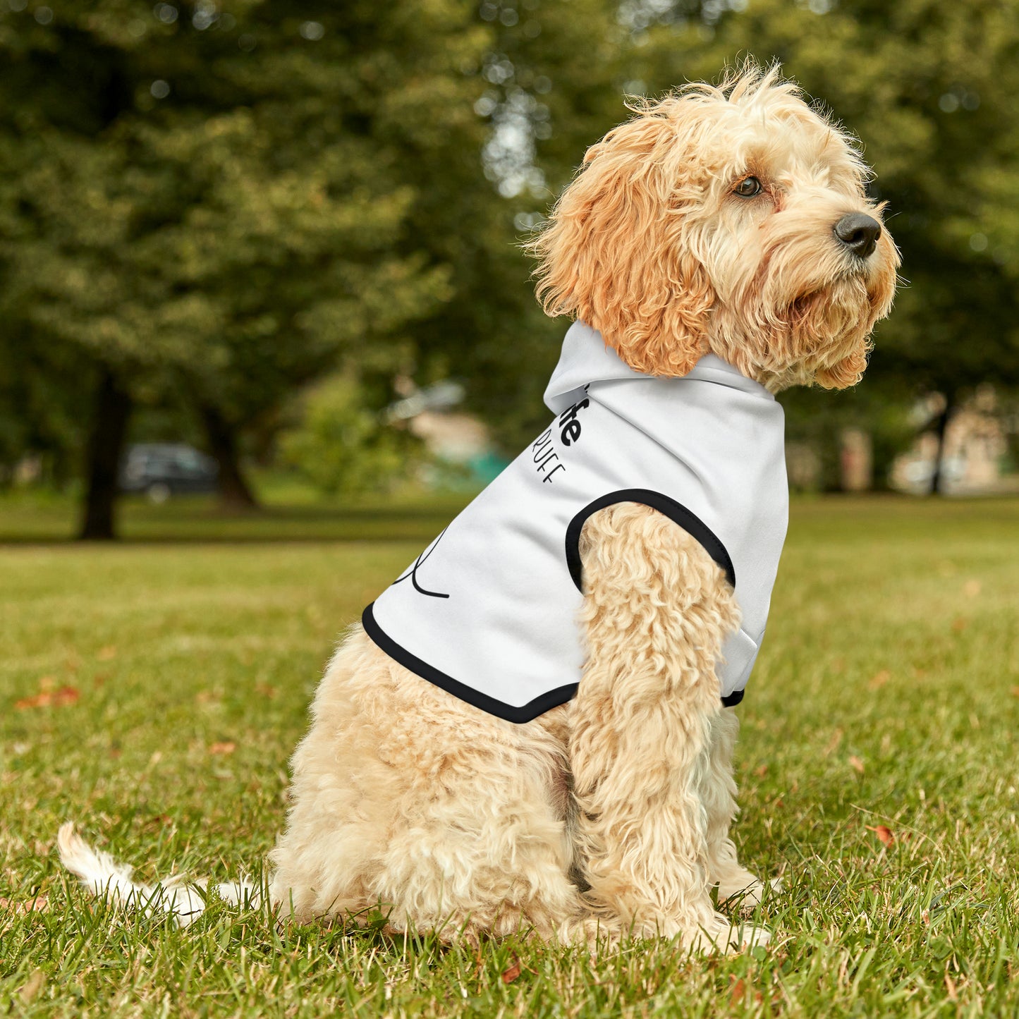 Lake Life is Ruff Pet Hoodie, the most adorable sweatshirt for a cat or dog, multiple size options