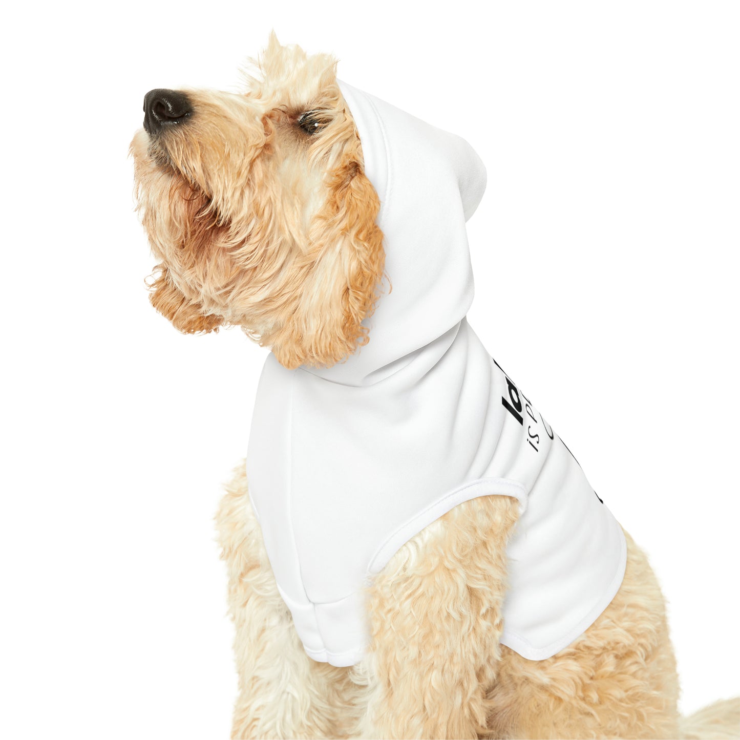 Lake Life is Ruff Pet Hoodie, the most adorable sweatshirt for a cat or dog, multiple size options