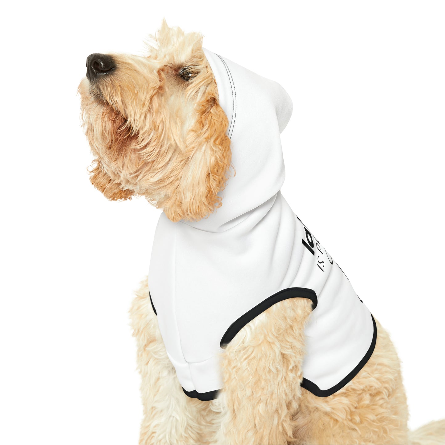 Lake Life is Ruff Pet Hoodie, the most adorable sweatshirt for a cat or dog, multiple size options