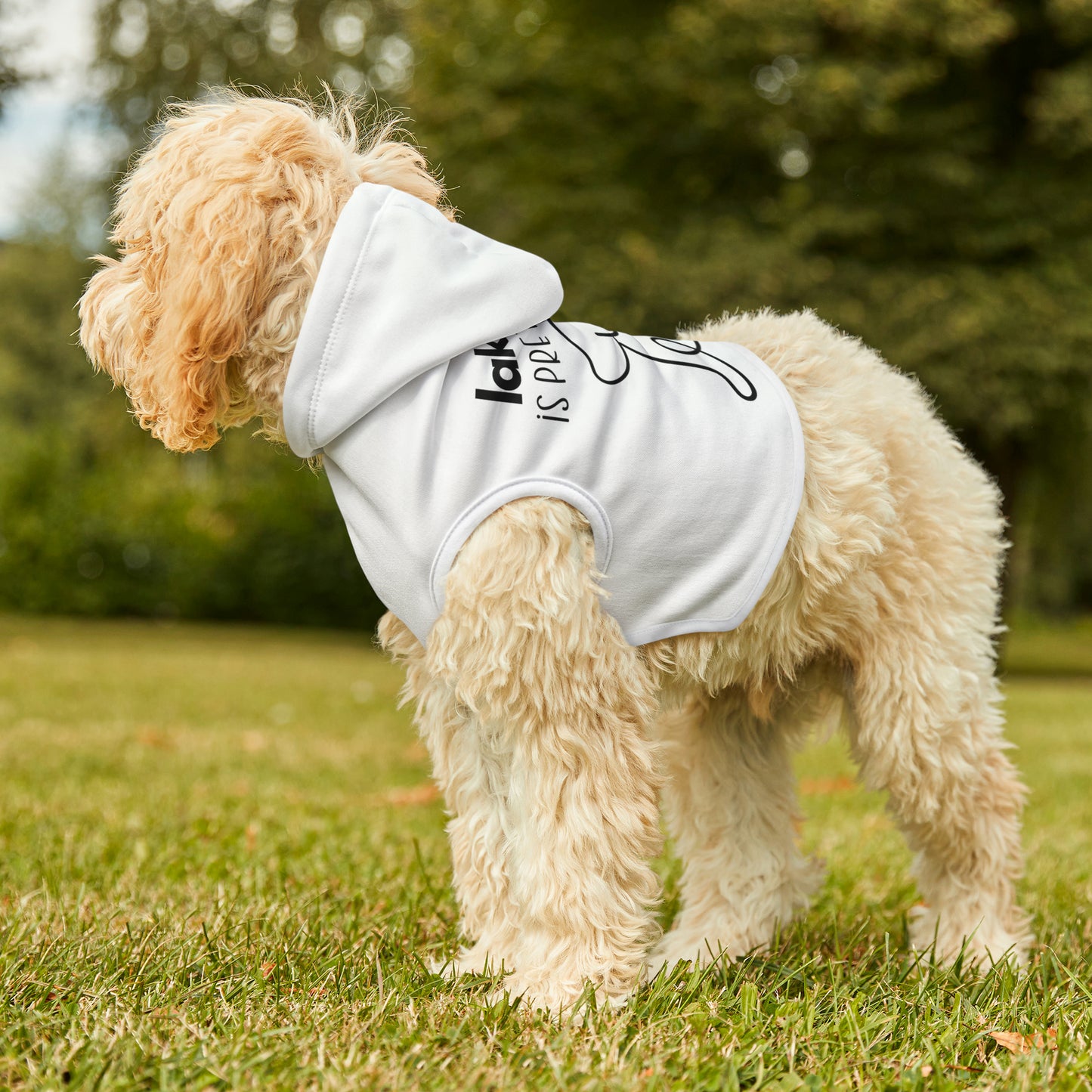 Lake Life is Ruff Pet Hoodie, the most adorable sweatshirt for a cat or dog, multiple size options