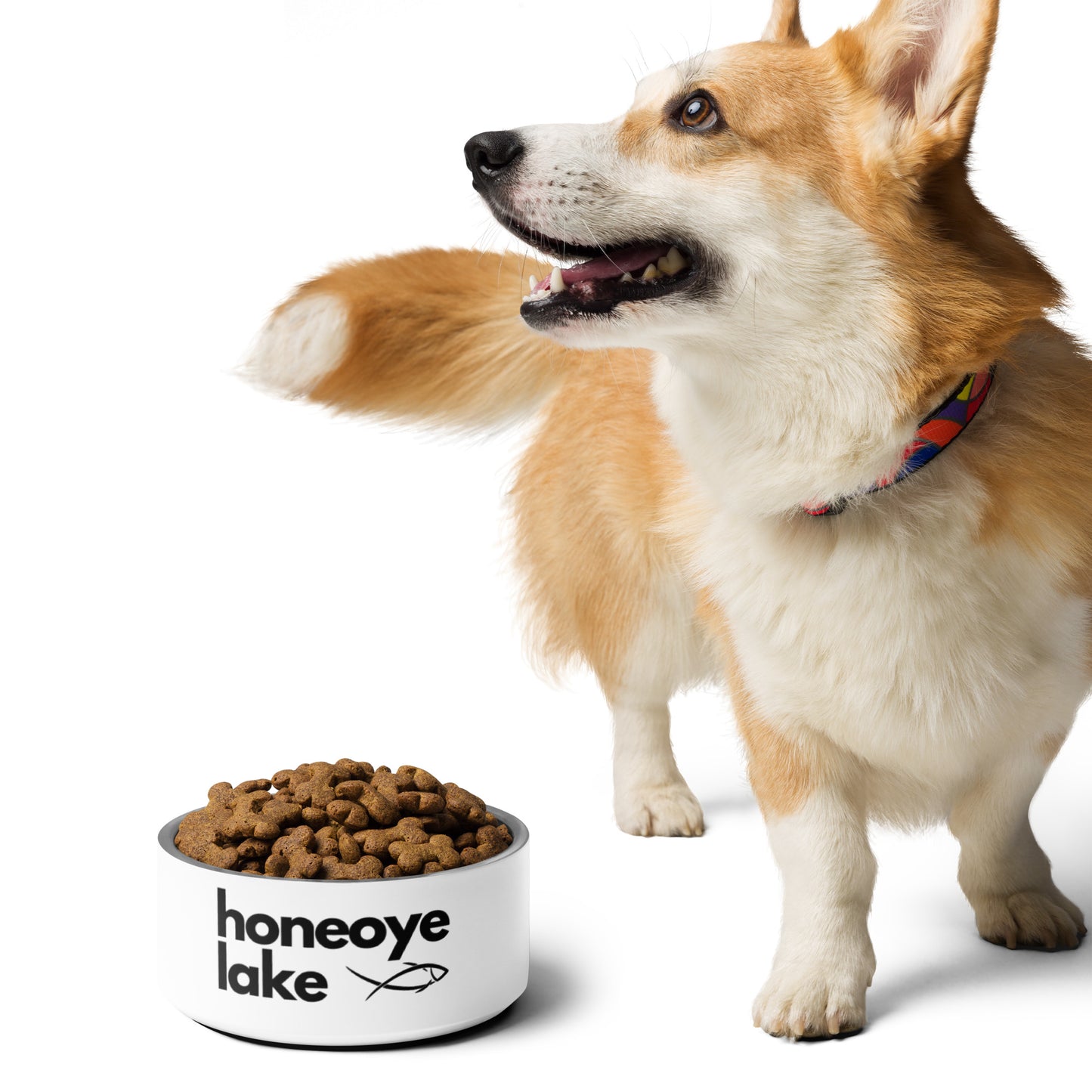 Honeoye Lake simple fish pet food bowl