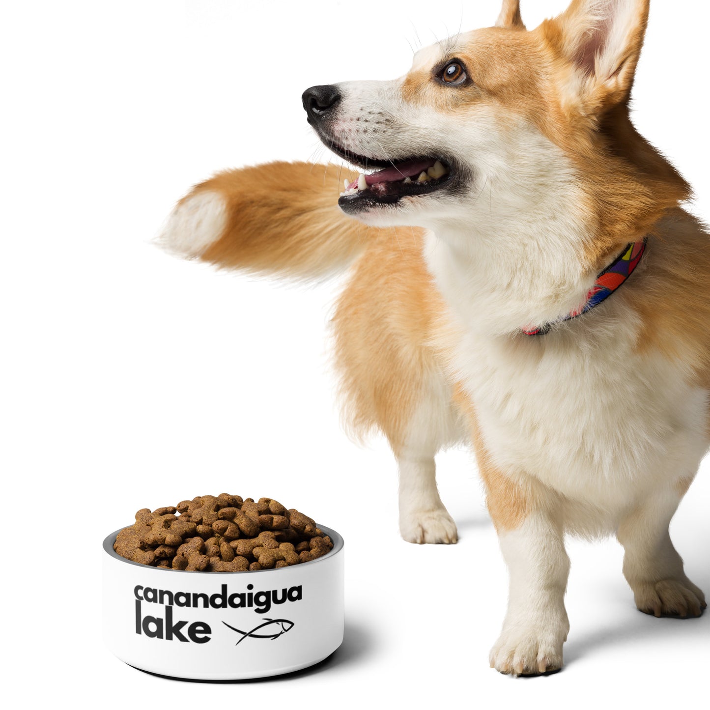 Canandaigua Lake simple fish pet food bowl