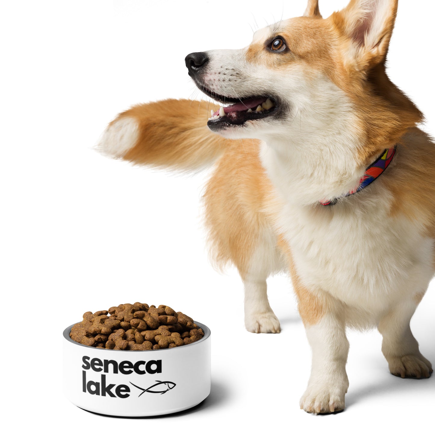 Seneca Lake simple fish pet food bowl