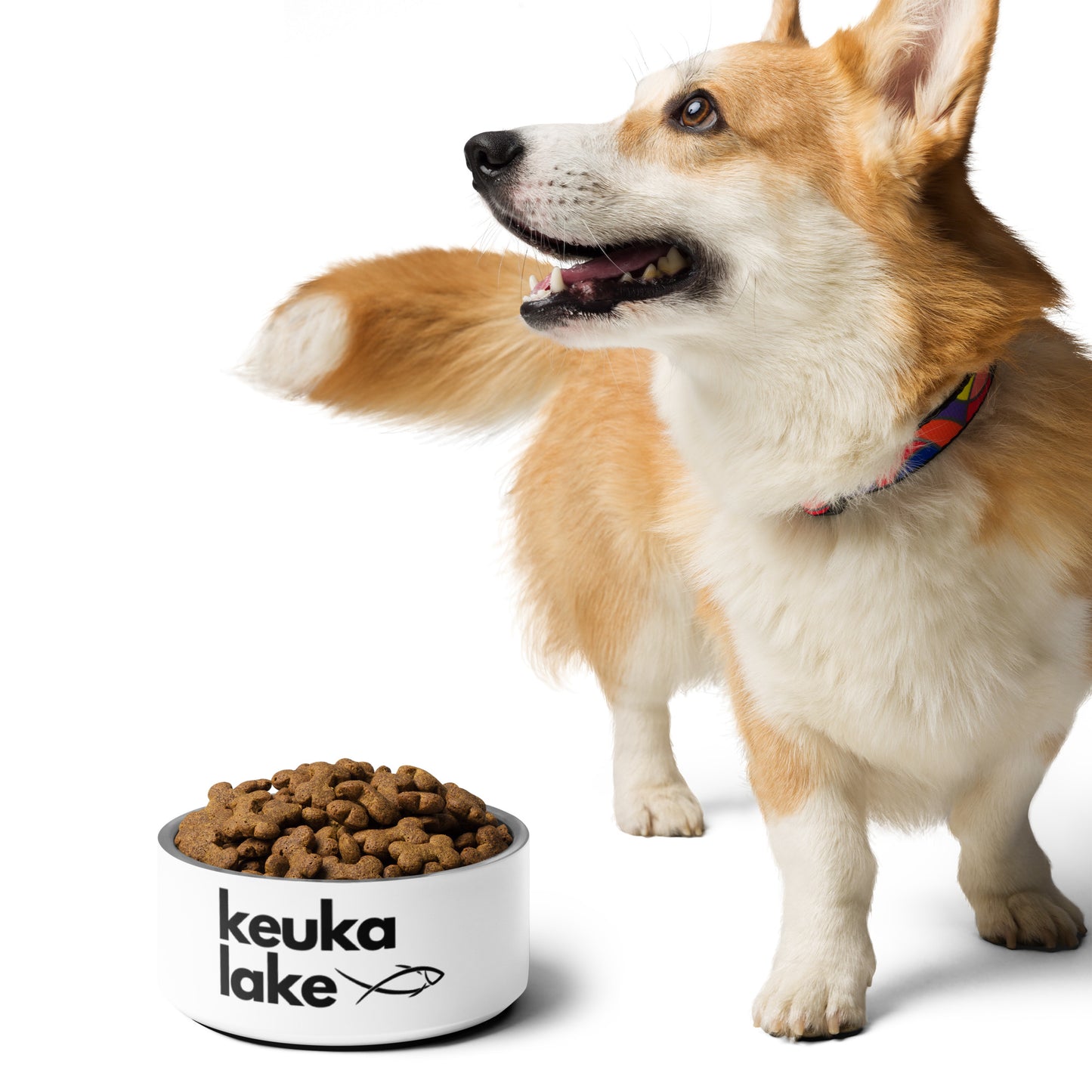 Keuka Lake simple fish pet food bowl