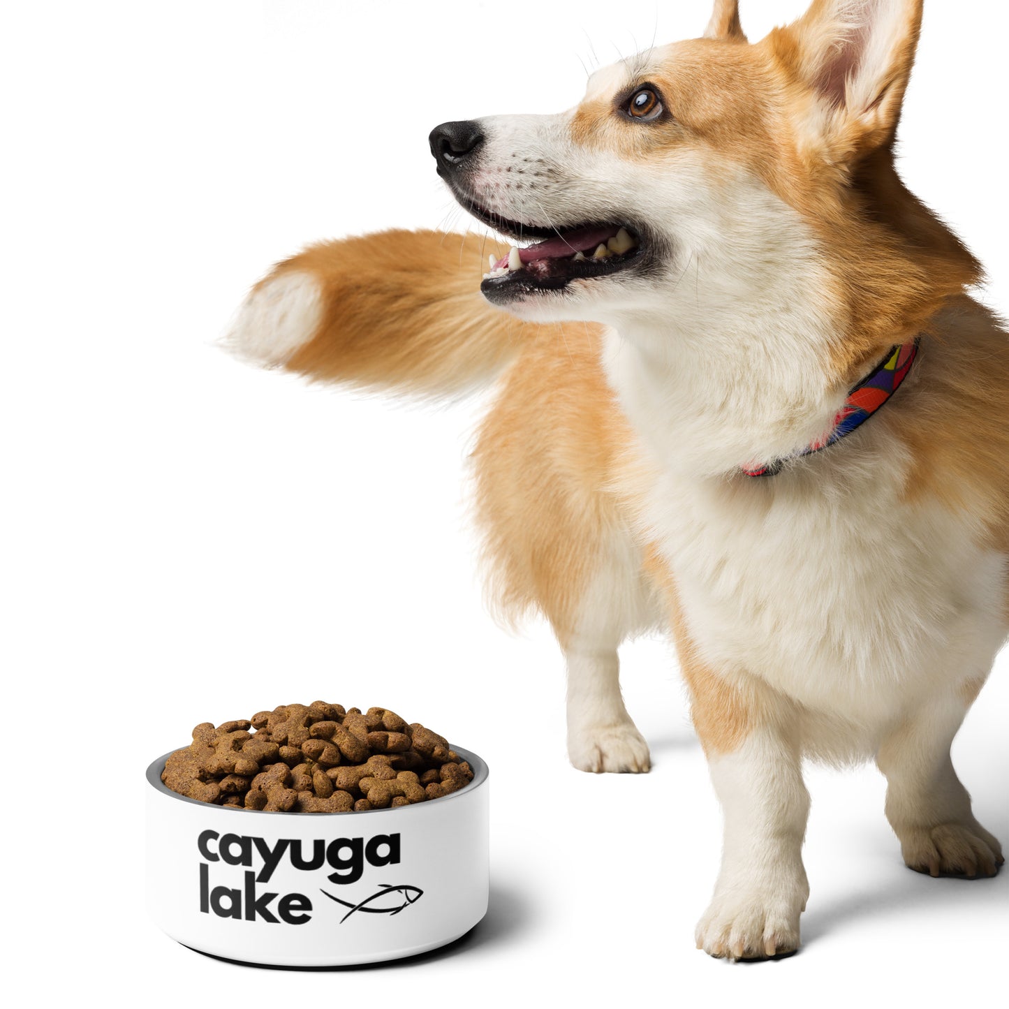 Cayuga Lake simple fish pet food bowl